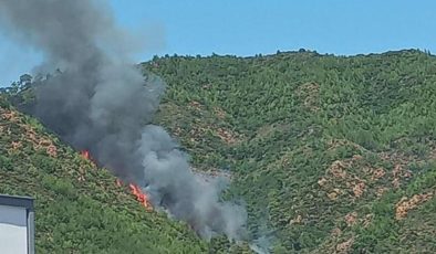 Marmaris’teki orman yangını kontrol altına alındı… Korkunç neden ortaya çıktı! 2 Cumhuriyet Savcısı görevlendirildi