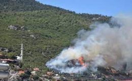 İzmir Kemalpaşa’da orman yangını! Yerleşim yerleri tehdit altında