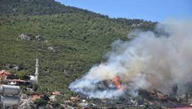 İzmir Kemalpaşa’da orman yangını! Yerleşim yerleri tehdit altında