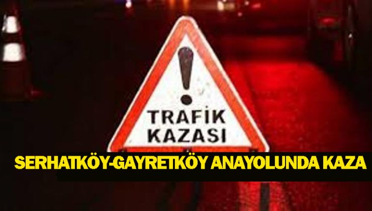 Serhatköy-Gayretköy Anayolu üzerindeki kazada 2 kişi yaralandı
