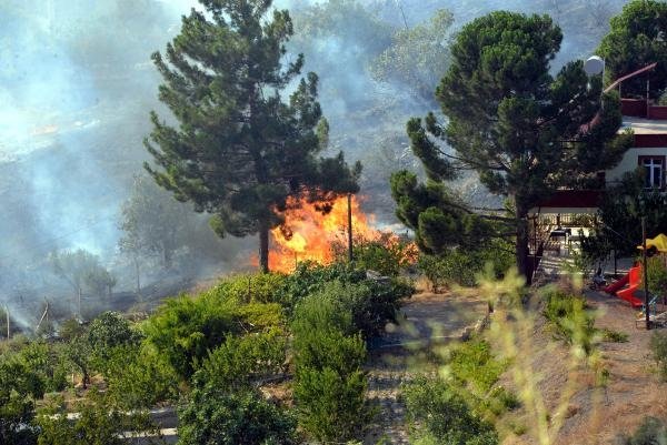 Kahramanmaraş’ta orman yangını! Alevler evlere sıçradı; havadan ve karadan müdahale sürüyor