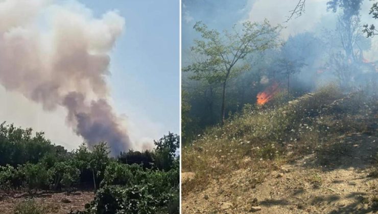 Adana’na Karaisalı ve Kozan’da orman yangını: Kontrol altına alındı