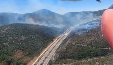 Alev alan otomobil orman yangınına yol açtı