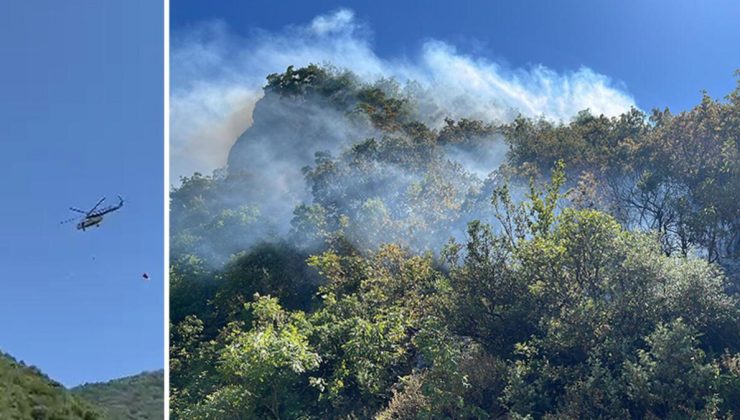 Bolu, Burdur, Muğla ve Bursa Uludağ’da orman yangını