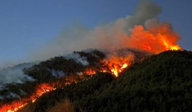 Hatay’daki orman yangınıyla ilgili 1 kişi tutuklandı