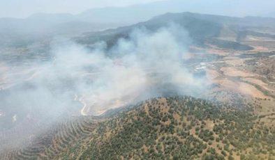 İzmir’de tarlada çıkan yangın, ormana sıçradı