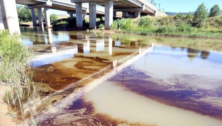 Kızılırmak’taki kirliliğin nedeni fuel-oil çıktı