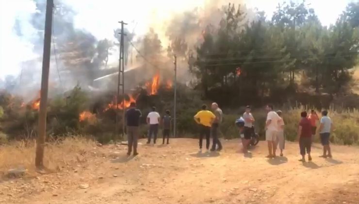 Mersin Anamur’da orman yangını