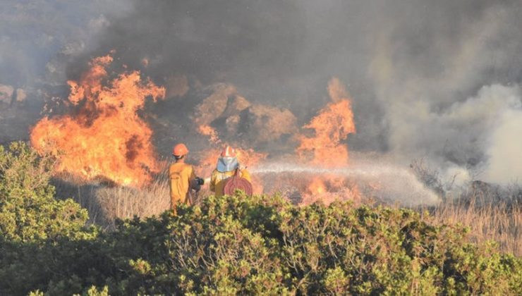 Muğla’da orman yangını, hızla yükselen alevleri kontrol altına almak içi ekipler seferber oldu