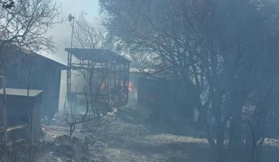 Muğla Bodrum’da çıkan yangın küçük evlere sıçradı