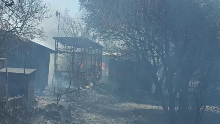 Muğla Bodrum’da çıkan yangın küçük evlere sıçradı