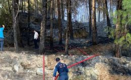 Muğla’daki orman yangınında sabotaj şüphesi