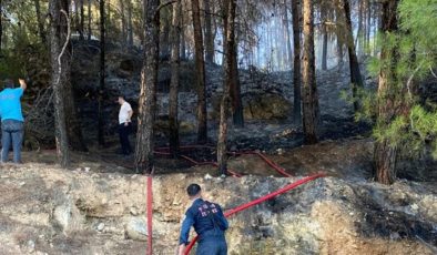 Muğla’daki orman yangınında sabotaj şüphesi