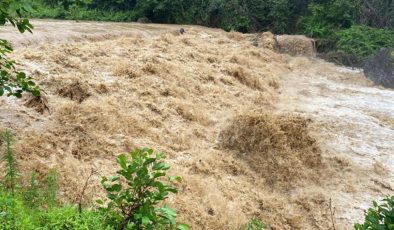 Rize’de kuvvetli yağış! Derelerin su seviyesi yükseldi