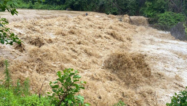 Rize’de kuvvetli yağış! Derelerin su seviyesi yükseldi