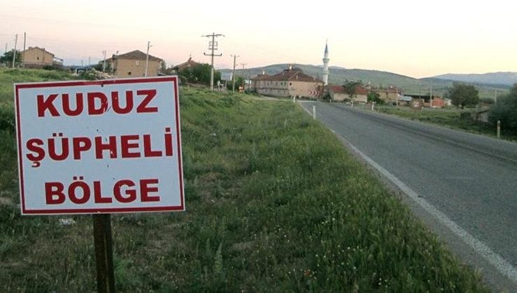 Şanlıurfa’da kuduz tedavisi gören kişi öldü