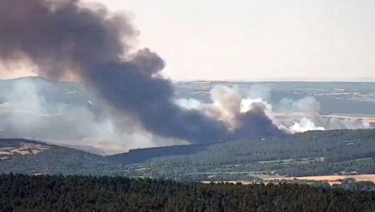 Tekirdağ’da orman yangını