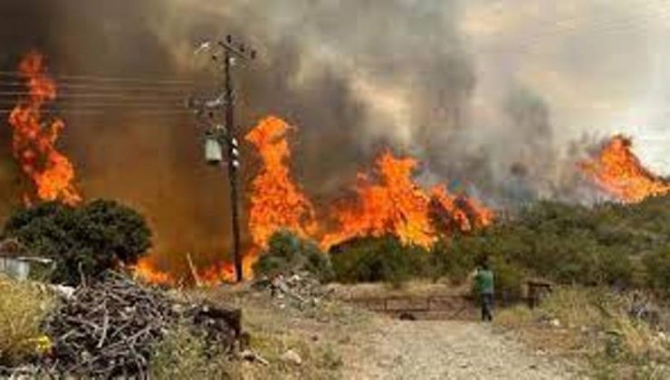Yeşilyurt’ta bir Narenciye Bahçesinde meydana gelen yangın hasara neden oldu