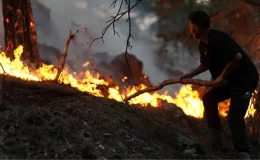 Antalya, Eskişehir, Bolu, Bayburt ve Bingöl’de peş peşe orman yangını! Alevlere müdahale devam ediyor