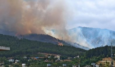 Hatay ve Balıkesir’de orman yangını! Karadan ve havadan müdahale başladı