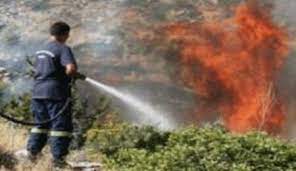 Güney Kıbrıs’ta Temmuz ayı içerisinde 70 orman yangını çıktı
