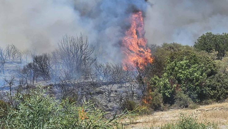 Limasol’a bağlı ‘Agios Mamas’ bölgesinde geçtiğimiz gün çıkan yangınan sonra bukez Alasa köyünde yangın çıktı itfaiye ekipleri yangına müdahale ediyor