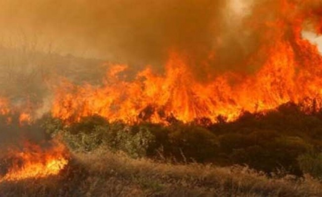 Limasol’un Alassa köyü yakınlarındaki yangın tekrar kontrolden çıktı yangın için 4 ülkeden yardım istendi