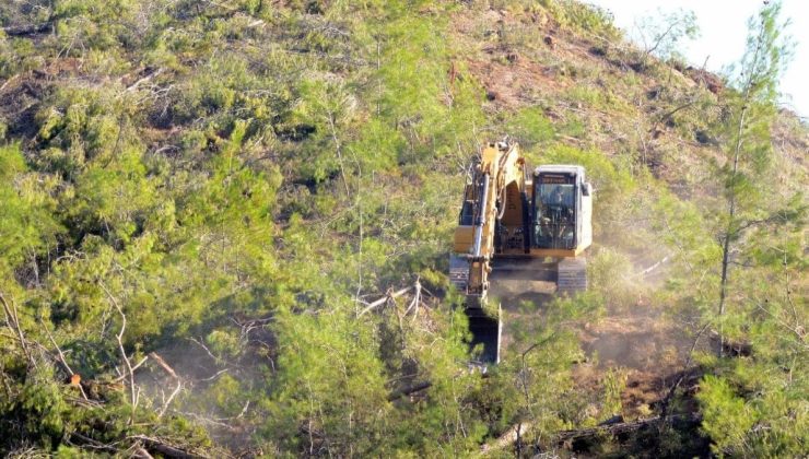 Muğla’da yeni Akbelenler yolda