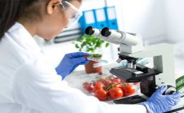 Tarım Dairesi 25-31 Ağustos ayı gıda denetim sonuçlarını açıkladı ve 22 numune alınan ürünün 22’sinin de temiz çıktığını belirtti