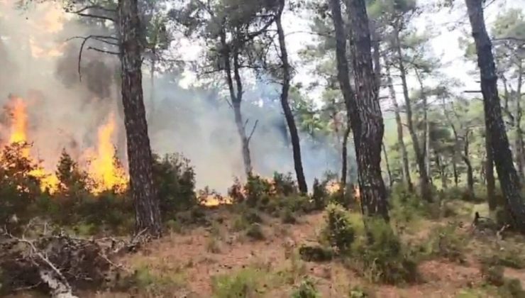 Çanakkale’de yıldırım düştü, iki bölgede yangın çıktı