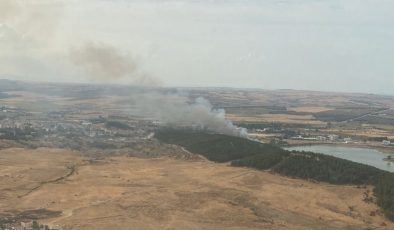 Edirne’de orman yangını