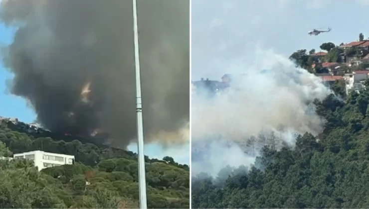 İstanbul Maltepe’de orman yangını çıktı, çok sayıda itfaiye ekibi yangına müdahale ederken yangının evlere yaklaştığı belirtildi