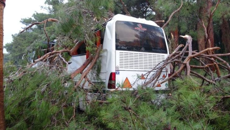 Antalya’da fırtınanın söktüğü ağaç kazaya neden oldu! Yaralılar var! – Antalya haberleri