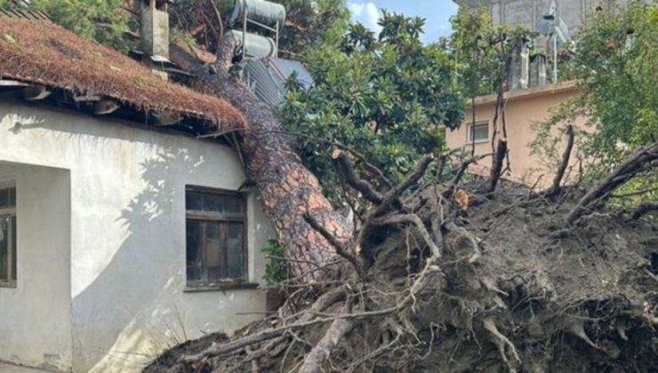 Meteoroloji ve AFAD’ın, 64 kent için verdiği sarı ve turuncu alarm, birçok kentte kendisini gösteriyor – Güncel haberler