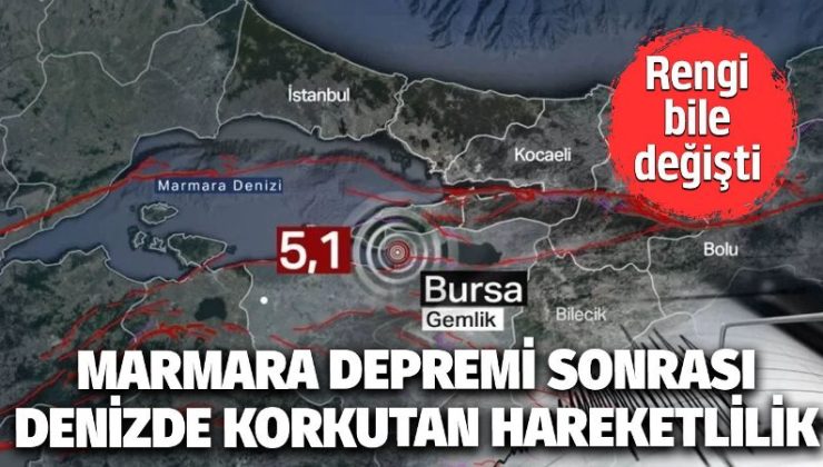 Marmara’daki depremde denizde korkutan hareketlilik! Vatandaşları tedirgin etti