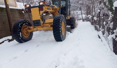 Bartın’da kar yağışı… 8 köy yolu kapandı