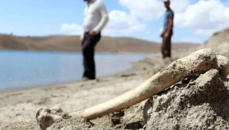 Güney Kıbrıs’ta Baf’a bağlı Lara bölgesinde kıyıya insan uzvu vurdu