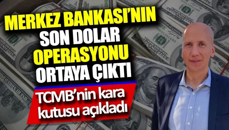 Merkez Bankası’nın son dolar operasyonu ortaya çıktı. TCMB’nin kara kutusu açıkladı