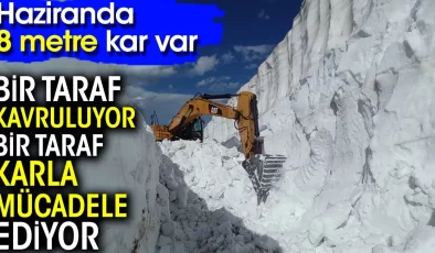 Bir taraf kavruluyor bir taraf karla mücadele ediyor! Haziranda 8 metre kar var…