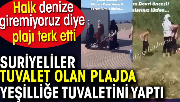 Suriyeliler tuvalet olan plajda yeşilliğe tuvaletini yaptı. Halk denize giremiyoruz diye plajı terk etti