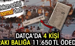 Datça’da 4 kişi rakı balığa 11.650 TL ödedi. Mekan sahibi ‘normal’ dedi