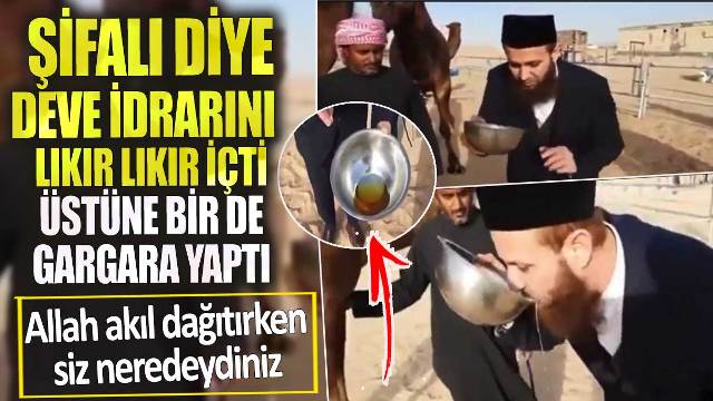 Deve idrarını şifalı diye lıkır lıkır içti üstüne gargara yaptı