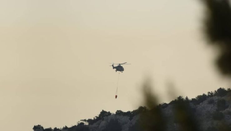 İzmir’de orman yangını