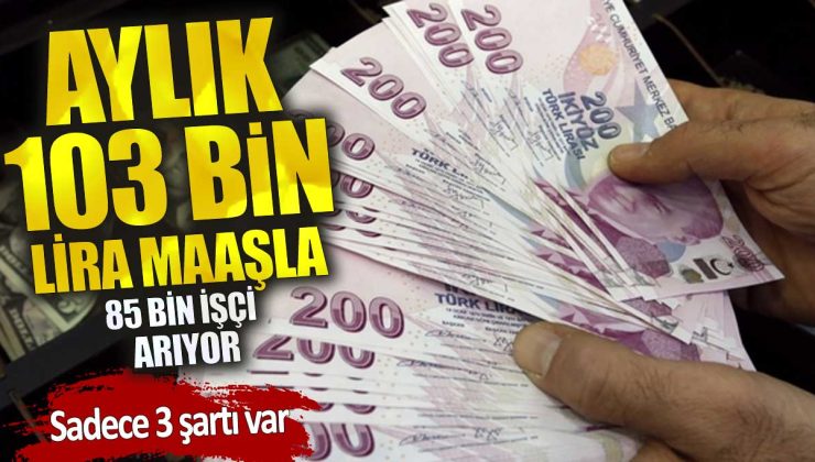 Aylık 103 bin lira maaşla 85 bin işçi arıyor! Sadece 3 şartı var