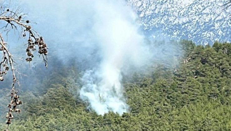 Antalya’da orman yangını!