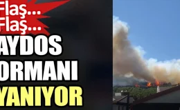 İstanbul Aydos Ormanı yanıyor