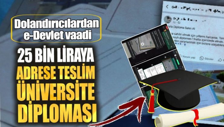 25 bin liraya adrese teslim üniversite diploması. Dolandırıcılardan e-Devlet vaadi