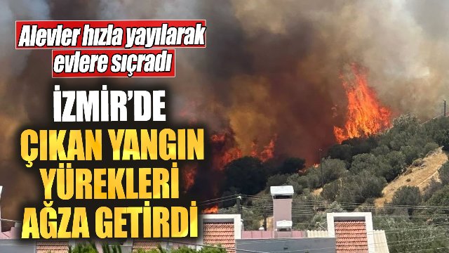 İzmir’de çıkan yangın yürekleri ağıza getirdi! Alevler hızla yayılarak evlere sıçradı