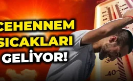 Bu sene sonbaharı unutun! Afrika Ekim ayında rezervasyonu yaptırdı, böyle giderse hepimiz yandık!