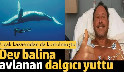 Dev balina avlanan dalgıcı yuttu. 40 saniye kadar balinanın ağzında sıkışıp kaldı. Dalgıç daha önce Uçak kazasından da kurtulmuştu